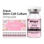 STAYVE Aqua Stem Cell Culture 10x8mL ampoules